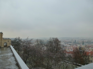 photo 971013