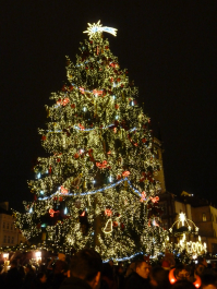 photo 993417