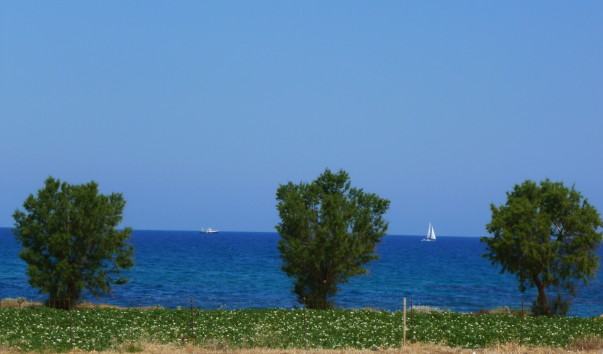 P1180381