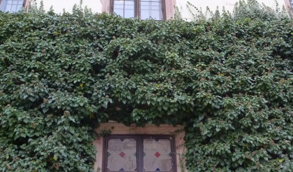 P1150394