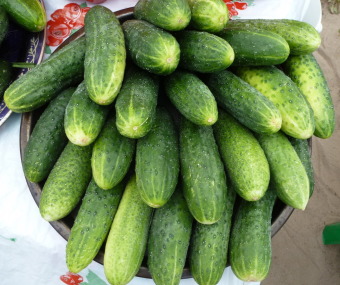 3679