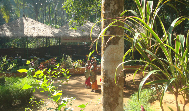 DSC07287
