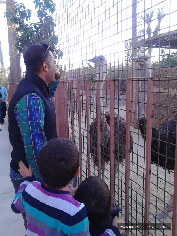 photo 1123140