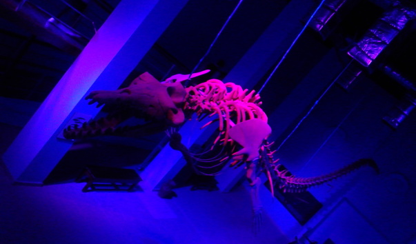 IMG_20150213_172839