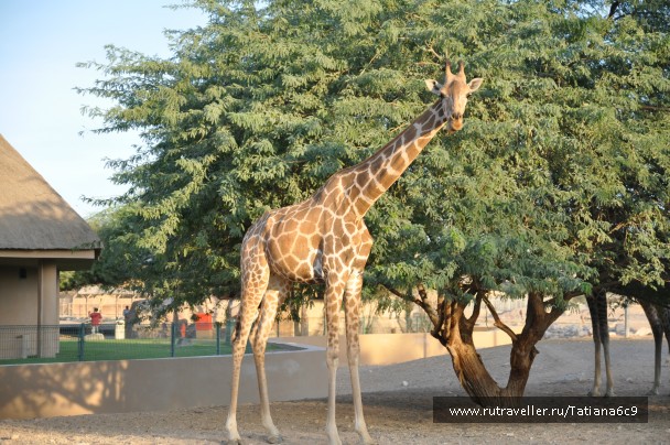 photo 743178