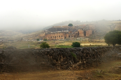 photo 788729