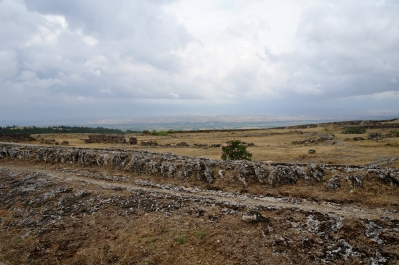 photo 788732
