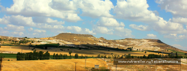 photo 420843