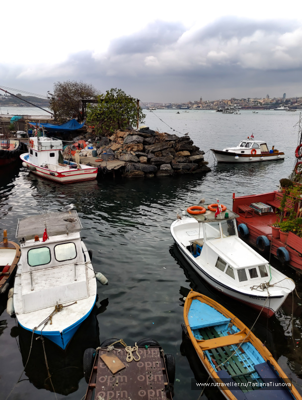 photo 2148869