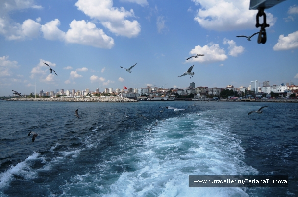 photo 858726
