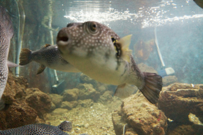 photo 485110