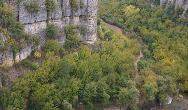 DSC06566
