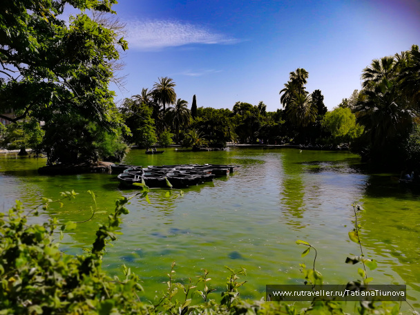 photo 2149224