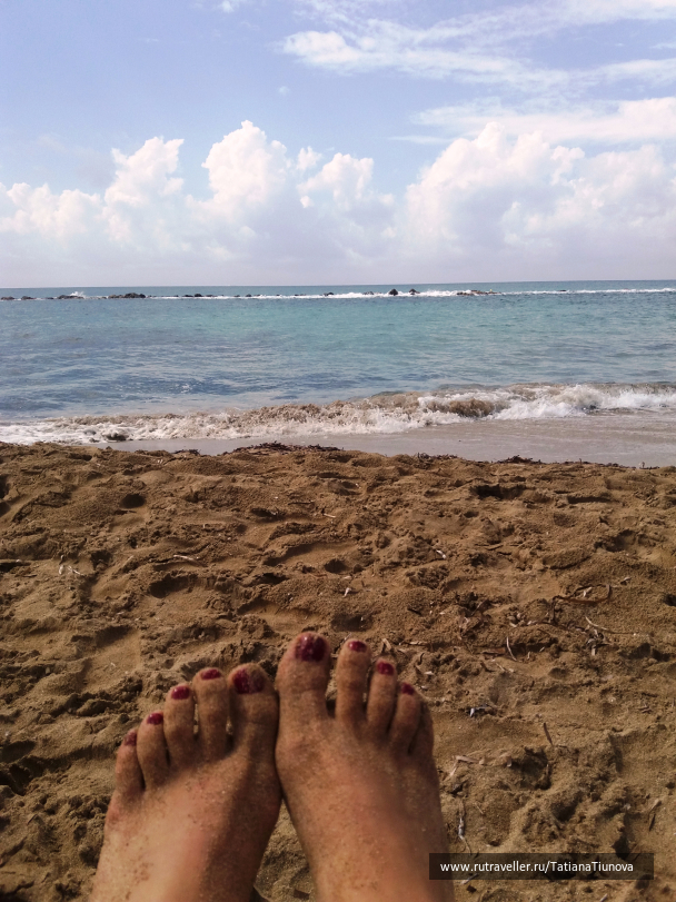 photo 1549447