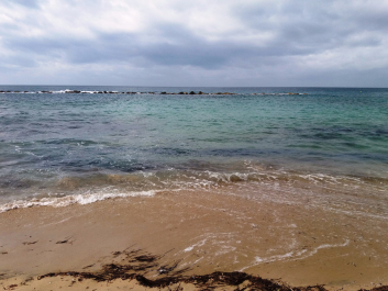photo 1549448