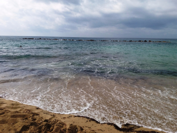 photo 1549449