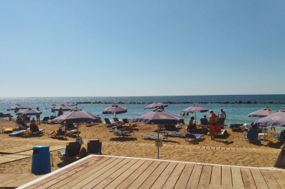 photo 1554791