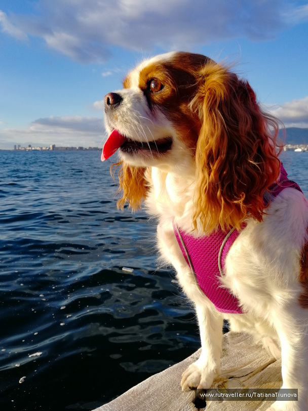 photo 2148907