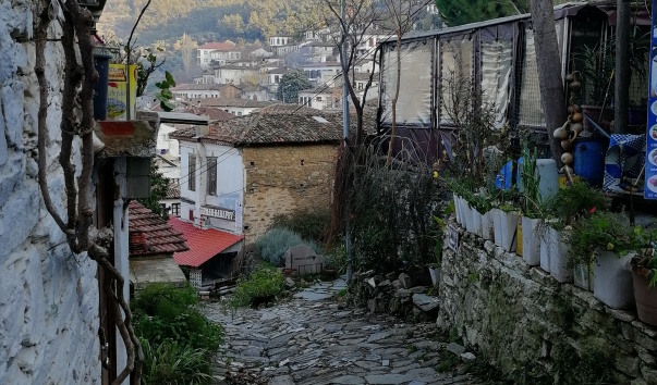 IMG_20201216_165104.jpg
