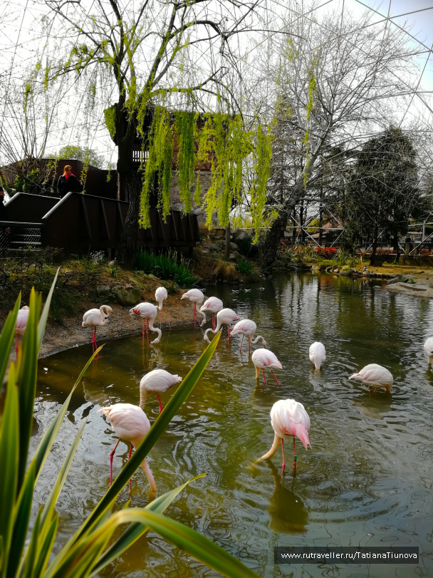 photo 2149327