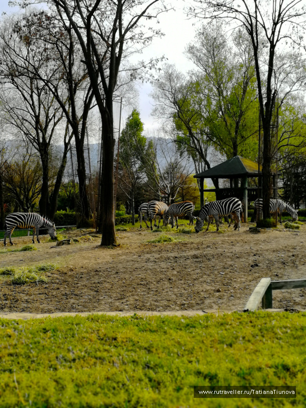 photo 2149329