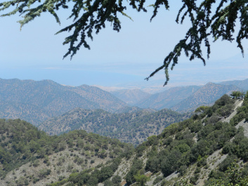 photo 294011