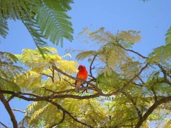 photo 252372