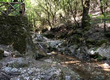 photo 823891