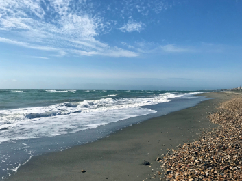 photo 1770641