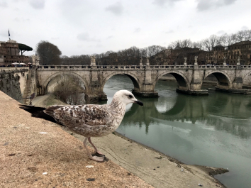 photo 1770642
