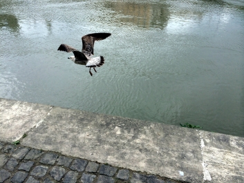 photo 738711