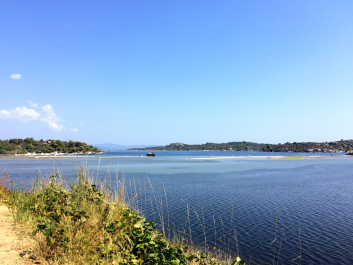 photo 1371008