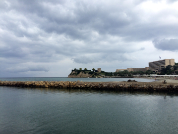 photo 1388472