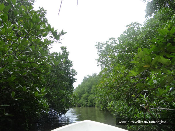 photo 529563
