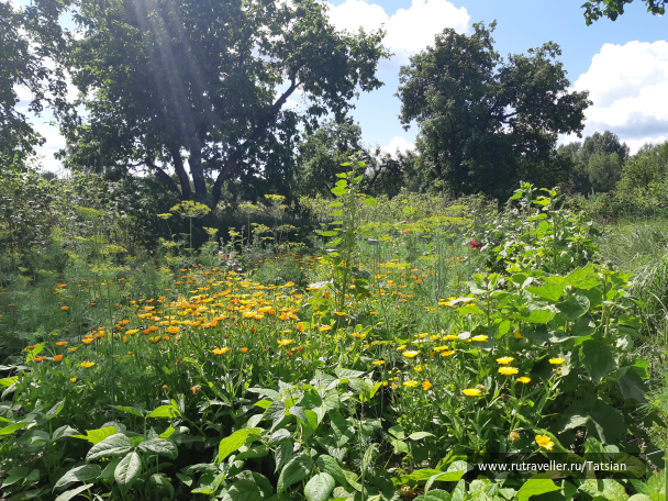 photo 2104354