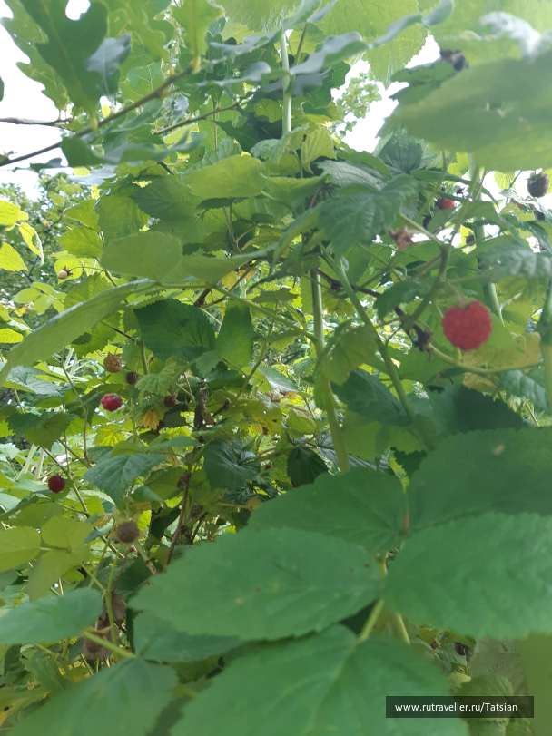 photo 2104356