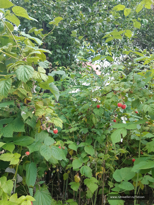 photo 2104359