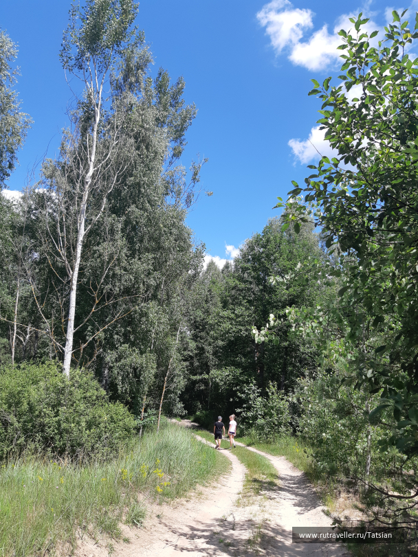 photo 2104361