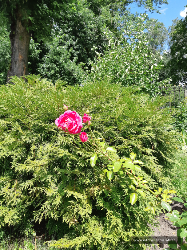 photo 2104364