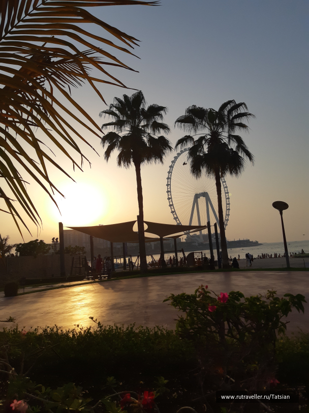 photo 2104320