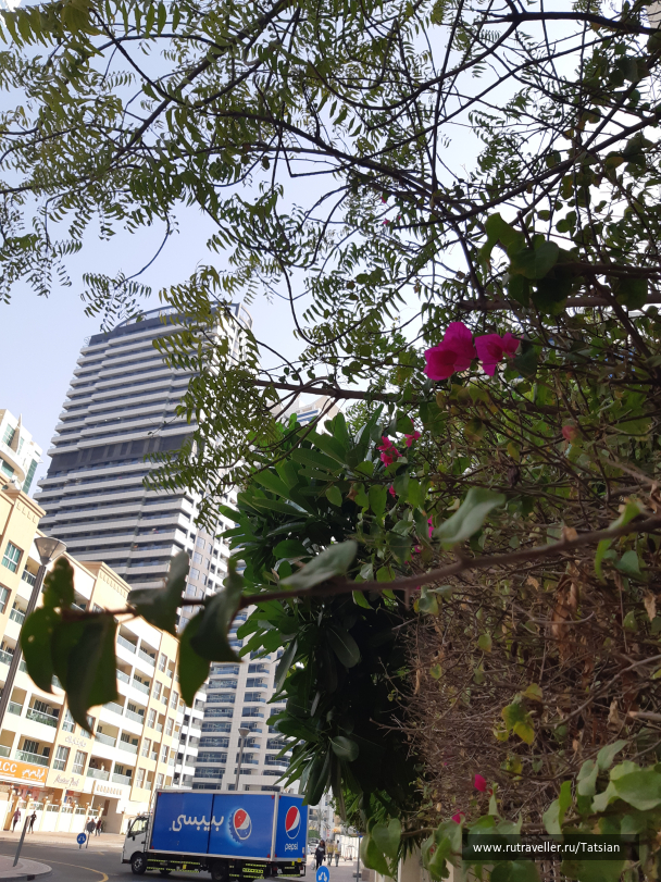 photo 2104328