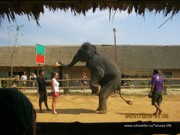 photo 254281