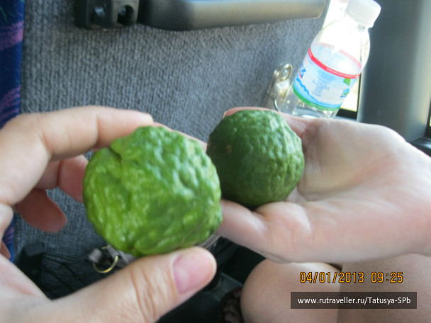 photo 254283