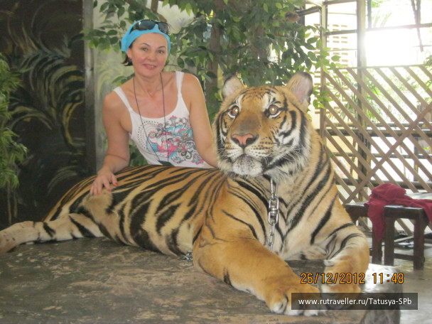 photo 254289