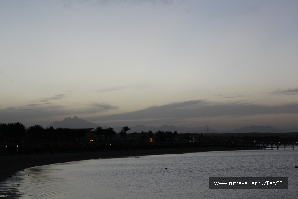 photo 801869
