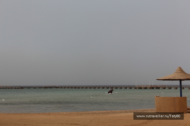 photo 801875