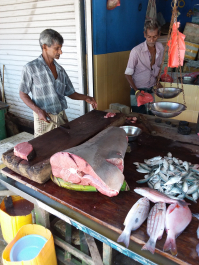 photo 1667284