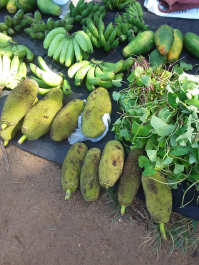 photo 1667294