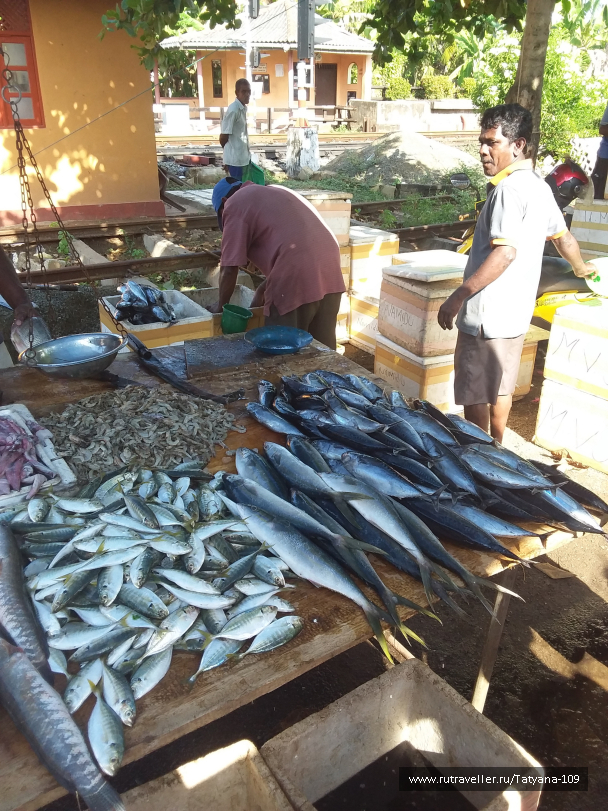 photo 1667311