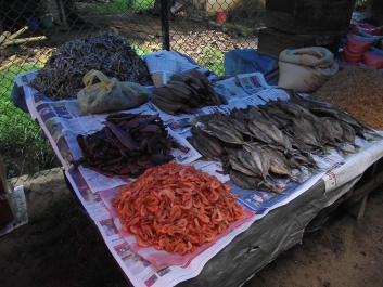 photo 1667324